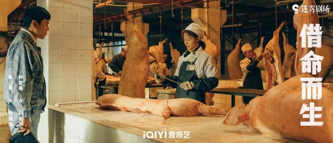 从“推理追凶”升级为“时代寓言”j9国际站《借命而生》：悬疑剧(图14)