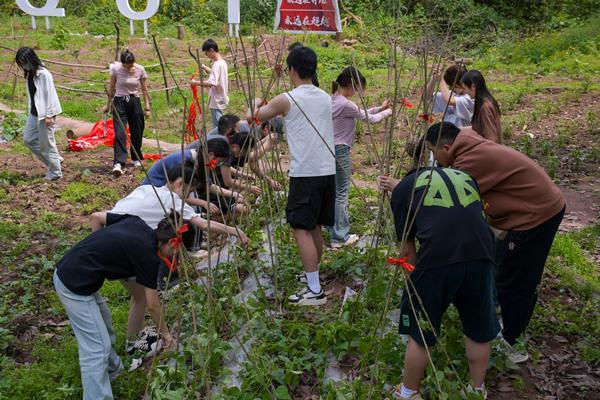 三美育人”赋能红色工程师培养J9数字平台重庆理工大学：“(图6)